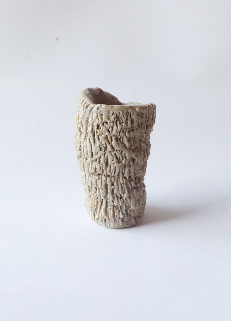 Miniatura: castisais marinos