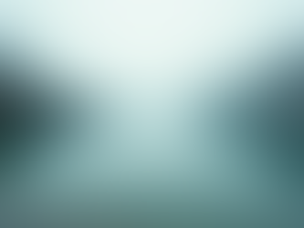 Transforming Trust and Influence with Reputation Strategies