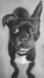 Yoda