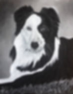 Buddy