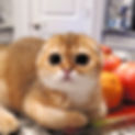 20220819_222610squere_edited.jpg