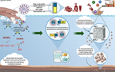 Graphical abstract.png