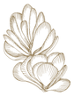 Itinerary Banner.png
