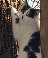 20190215_081148.jpg