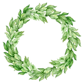 Plant Wreath
