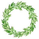 Plant Wreath 6