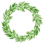 Plant Wreath 6