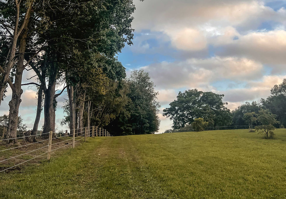 Landscape_Horizontal.jpg