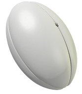 Rugby Ball.png