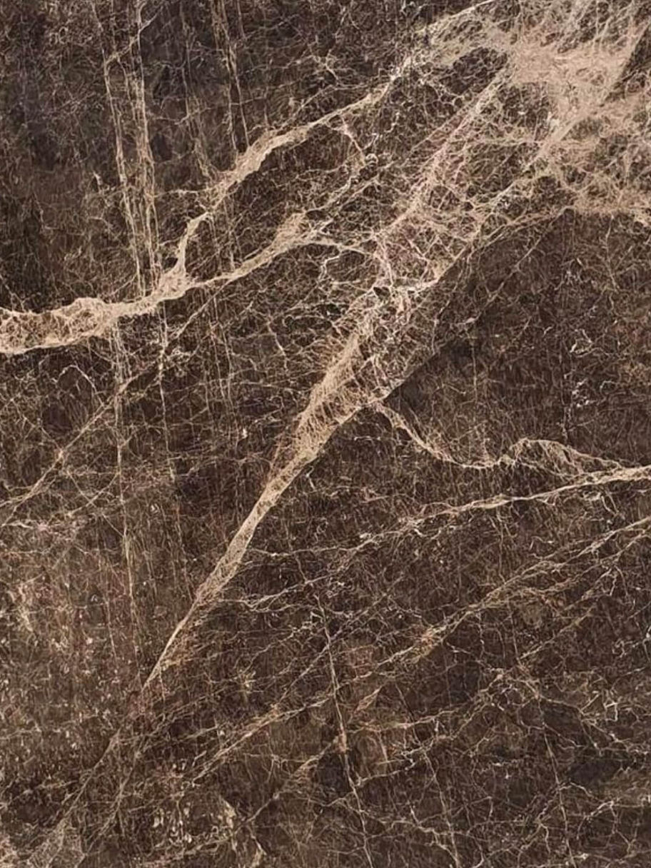 Emperador Elegant Close Up