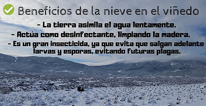 Bfos d la nieve y los viñedos.jpg