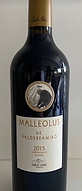 Malleolus.png