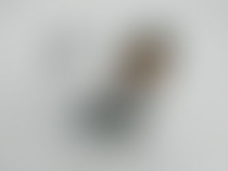 「皿倉山で雪遊び♪」 ~ゆうちゃんの散歩道~