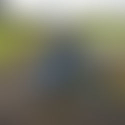 「大きな自転車、小さな自転車」(つづき) ~ゆうちゃんの散歩道~