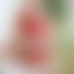 【体験事例】週1回のケアで変わった腰痛と姿勢