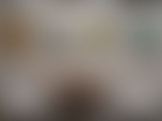 「Yosi Exhibition　福岡天神ロフト♪」　～かかりつけのアシカ～