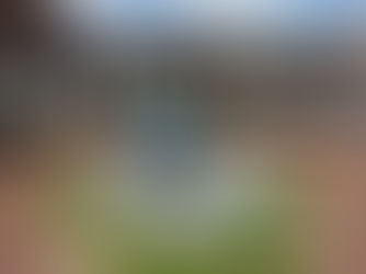 「直方、大関魁皇像♪」 ~ゆうちゃんの散歩道~