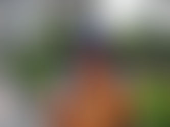 「無人島キャンプ♪」 ~かかりつけのアシカ~