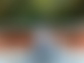 「相撲の神様♪」 ~ゆうちゃんの散歩道~