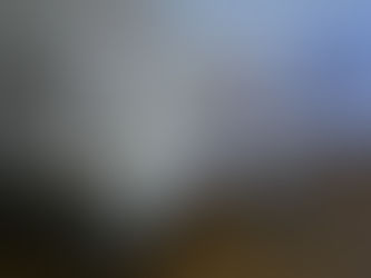 「2015 ドイツ研修①」 ~かかりつけのアシカ~