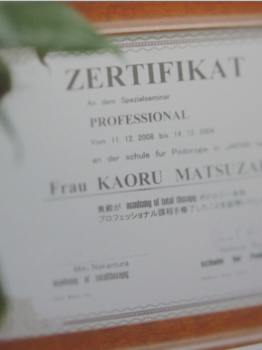 Frau Kaoru Matsuzaki の ZERTIFIKAT PROFESSIONAL、2008年12月14日までの専門家証明書。アンフィニビー