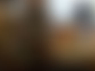 「準備万端♪」 ~ゆうちゃんの散歩道~