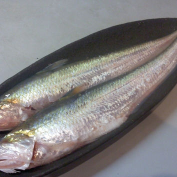 「えつ?」 ~かなちゃんの散歩道~