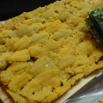 「今宵は『大島産のウニ』なのだ♪」 ~かなちゃんの散歩道~