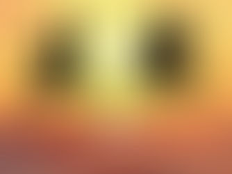 映画 「武蔵 -むさし-」 ~かかりつけのアシカ~