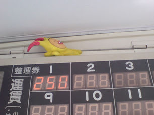 「天神に“こびとづかん”の仲間達が集結中?」② ~かなちゃんの散歩道~