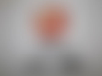 「吾輩はげんきである」 ~かかりつけのアシカ~