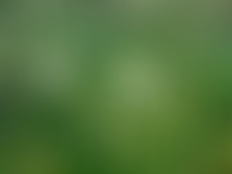 「お知らせ」 ~アンフィニ・ビー~