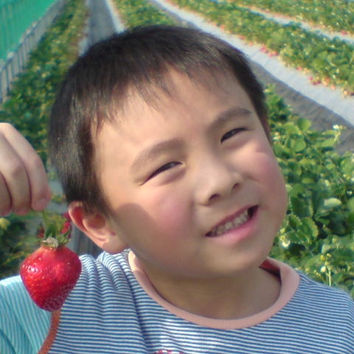 「いちご狩り♪」 ~ゆうちゃんの散歩道~