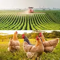 Farm_Web_222_217.webp