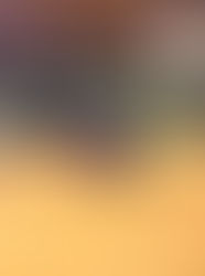 2018 PCRS Champion Non Pro Derby - Lil Miss Genius