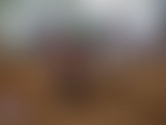 Reining Australia Award for Lilmissnoitall - Non Pro Mare of the Year 2015