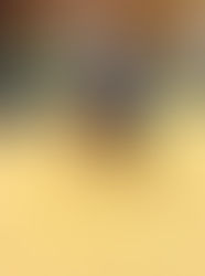 NPH No Lil Wimp & John Wicks Reserve Champion Lv4 Open Futurity PCRS 2018