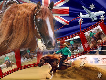 Lilnuitall USA Bound !