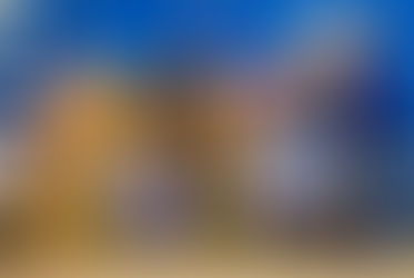 Lilmissnoitall Proven Power at the 2017 QRHA State Reining Show