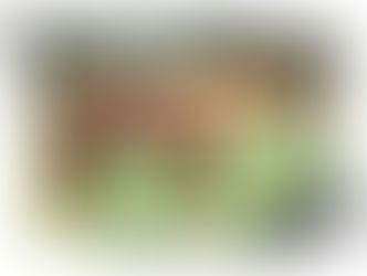 MAGNUM CHIC DREAM COLT "One Sensational Dream" Acquired by Neylon Performance Horses