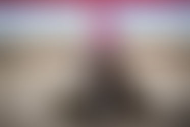 Reining Australia Award for Lil Miss Genius Co Champion Non Pro Mare of The Year 2017