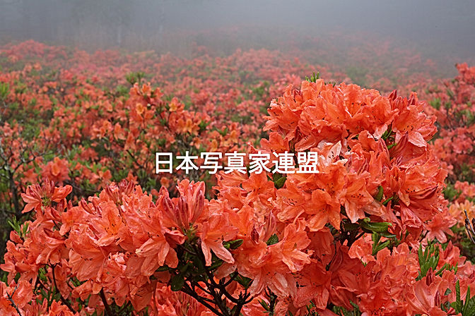 心に残った風景・高木多恵子会員HP用.jpg
