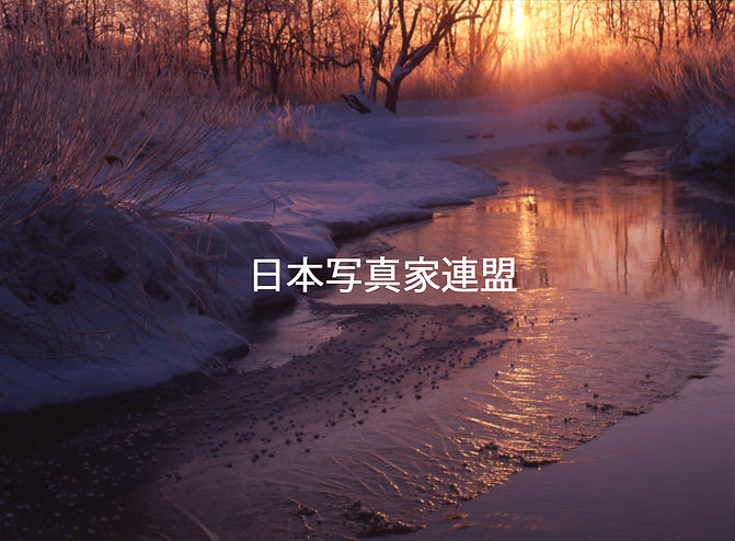 日本写真家連盟