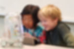 Resized_20190806_110535_7161.jpeg