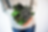 merge cube image.png