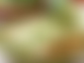 Family Dinner Made Easy with Verde Chicken Enchiladas