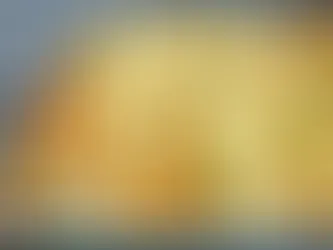 White Chicken Enchiladas: A Creamy Twist on a Classic