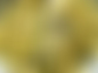 Guacamole Chicken Penne Pasta Recipe: Easy and Delicious