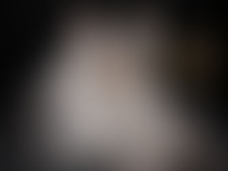 Silver tabby Maine Coon with tufted ears against a black background beside the AristoCoon crest