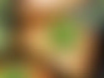 Delicious Jalapeño Popper Taco Recipe for Any Occasion